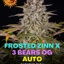 Насіння конопель Frosted Zinn Auto x 3 Bears Auto від Barney's Farm
